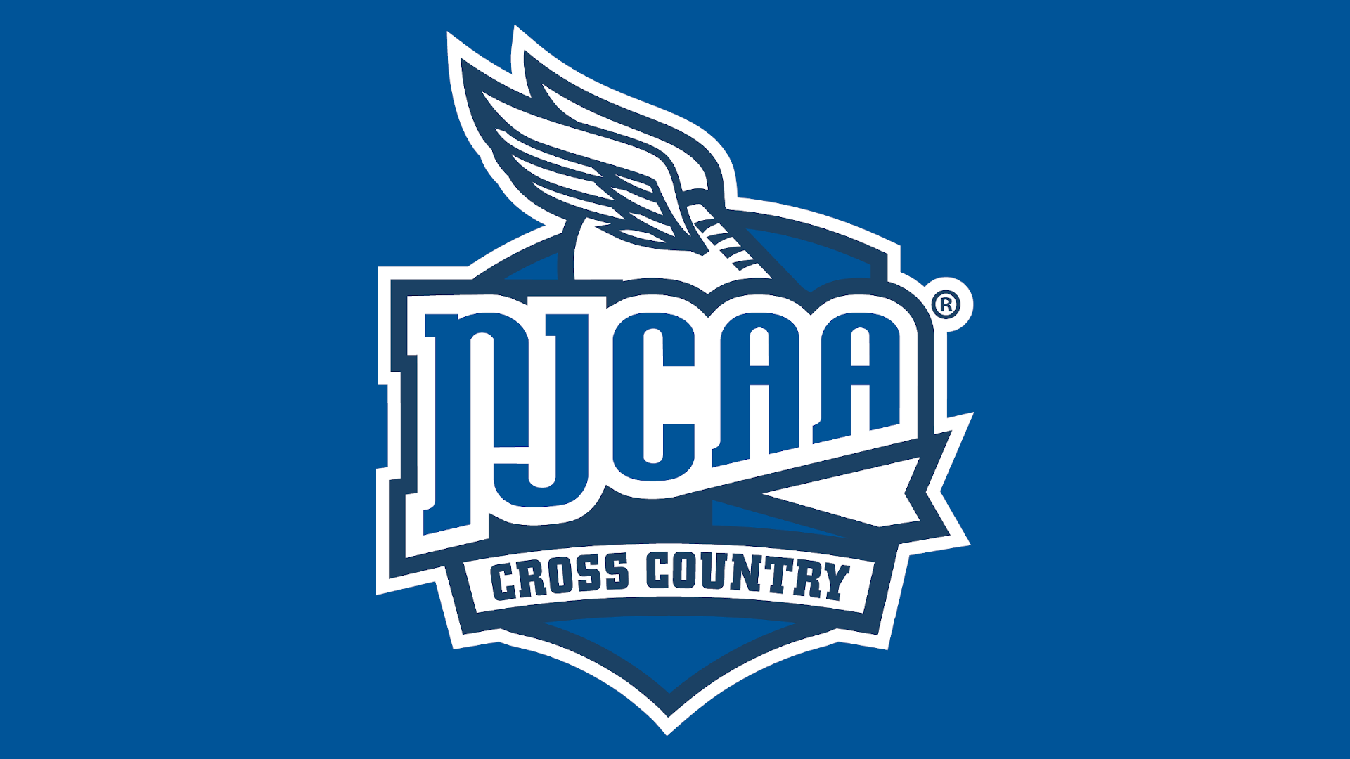 Cross Country Competes in Nationals